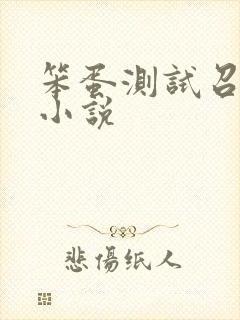 笨蛋测试召唤兽小说