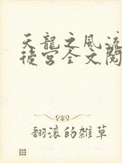天龙之风流猎艳后宫全文阅读封面