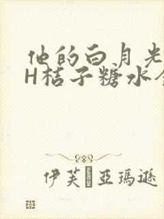他的白月光HVH桔子糖水全文