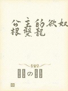 公主的欲奴h四根双龙
