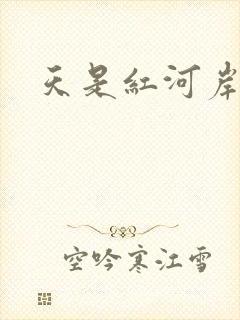 天是红河岸小说封面