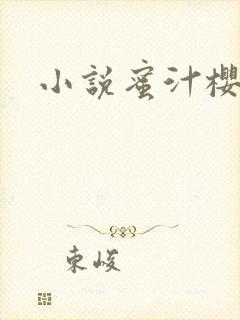 小说蜜汁樱桃