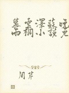 慕云泽苏晚晴夏雨桐小说免费阅读封面
