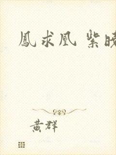 凤求凰 紫晓封面