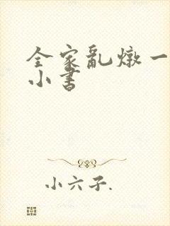 全家乱炖一锅烩小书