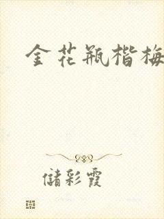 金花瓶楷梅花2封面