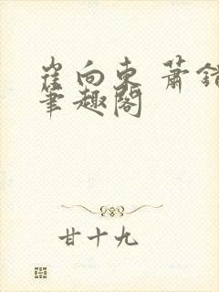 崔向东 萧错 笔趣阁