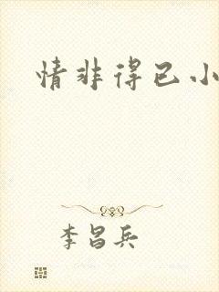 情非得已小说封面