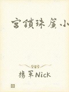 宫锁珠帘小说