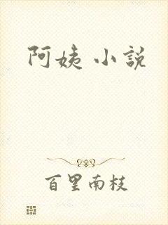 阿姨 小说