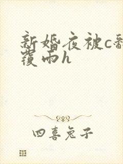 新婚夜被c翻云覆雨h封面