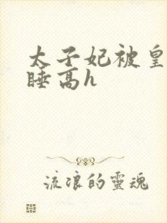 太子妃被皇上强睡高h
