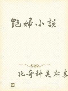 艳妇小说