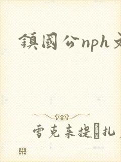 镇国公nph文