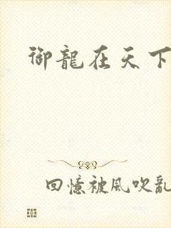 御龙在天下载