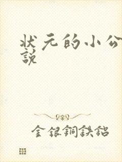 状元的小公主小说