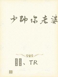 少帅你老婆