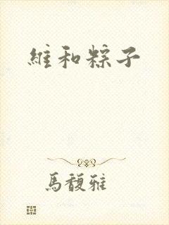 维和粽子