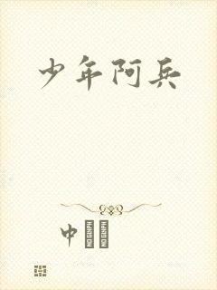少年阿兵封面