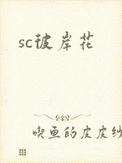 sc彼岸花