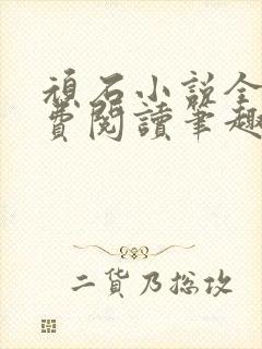 顽石小说全文免费阅读笔趣阁封面