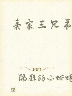 秦家三兄弟封面
