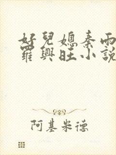 好儿媳秦雨罗明罗兴旺小说封面