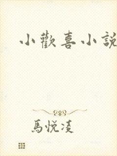 小欢喜小说封面