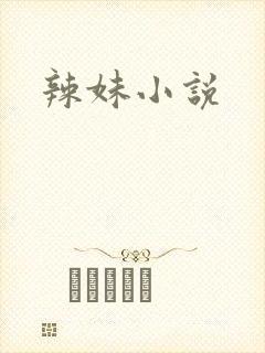 辣妹小说
