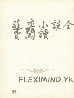 苏奕小说全文免费阅读封面