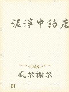 泥泞中的老虎