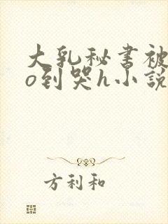 大乳秘书被cao到哭h小说封面