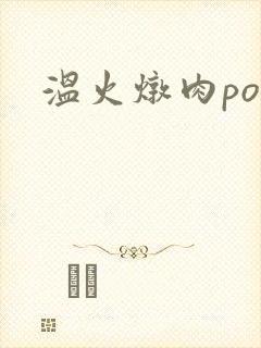 温火炖肉pop