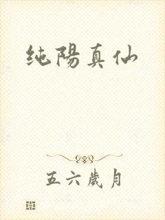 纯阳真仙封面