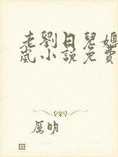 老刘日儿媳妇张岚小说免费阅读