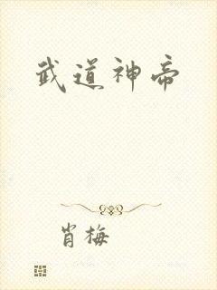 武道神帝封面