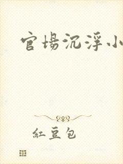 官场沉浮小说