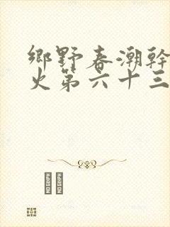 乡野春潮干柴烈火第六十三章