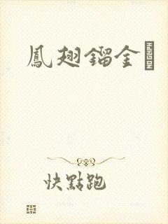 凤翅镏金镋封面