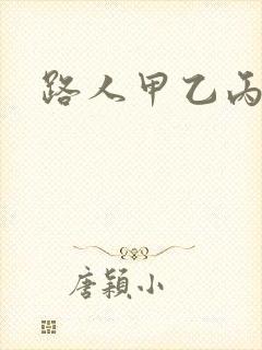 路人甲乙丙丁封面