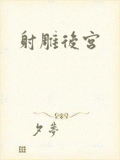 射雕后宫封面