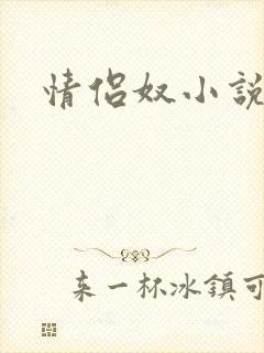 情侣奴小说