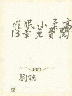 催眠小柔高达第13章免费阅读