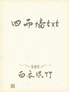 四面墙txt