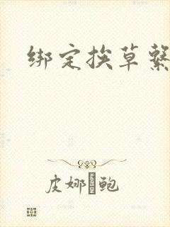 绑定挨草系统后封面