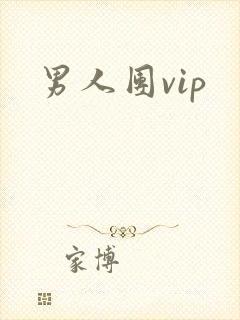 男人团vip
