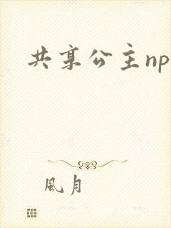共享公主npc