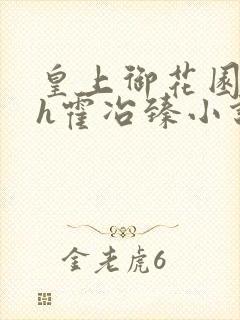 皇上御花园hlh霍冶臻小说
