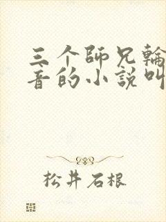 三个师兄轮流上音的小说叫什么