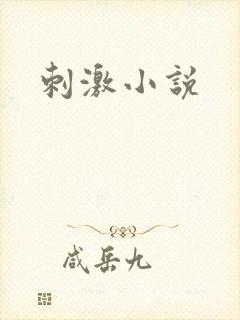 刺激小说